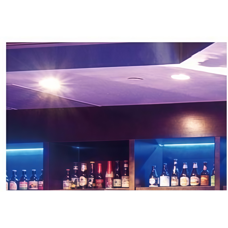 FW-L-6010A Surface Mounted LED Downlight