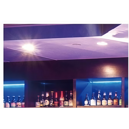 FW-L-6010A Surface Mounted LED Downlight